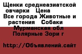 Щенки среднеазиатской овчарки › Цена ­ 20 000 - Все города Животные и растения » Собаки   . Мурманская обл.,Полярные Зори г.